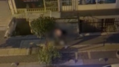 İstanbul'da köpeği tarafından ısırılan şahıs ağır yaralandı