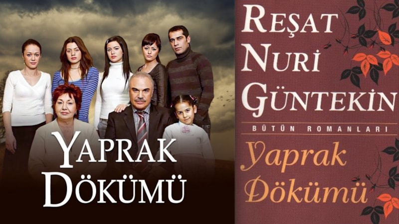 Yaprak Dökümü dizisiyle romanı arasında sandığınızdan çok fark var
