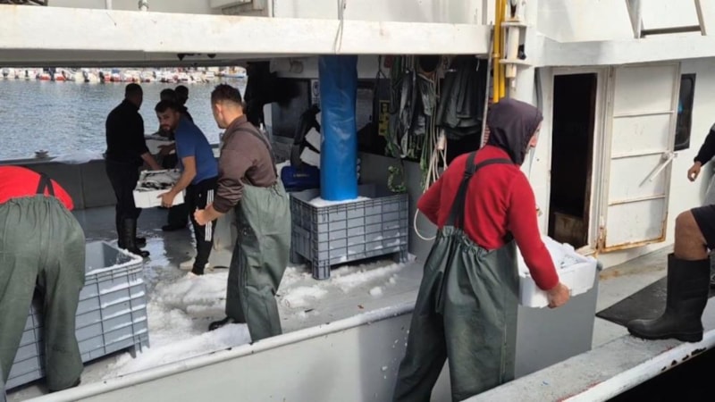 Tekirdağlı balıkçılar, Marmara'dan kasa kasa balıkla döndü