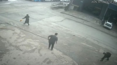 Bursa'da fare ortalığı birbirine kattı: Süpürge ve tekmeyle kovaladılar