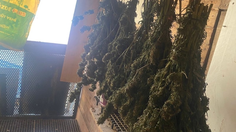 Bursa'da güvercin kümesine gizlenmiş uyuşturucu ele geçirildi