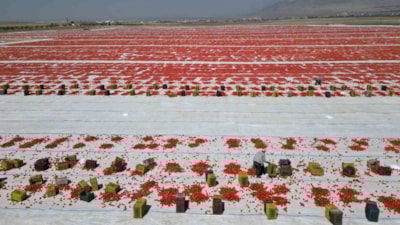Avrupa, Rusya, Amerika: Hepsinin gözü Niğde'de! İşte sebebi...
