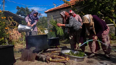 Kozak Yaylası’nın “Yeşil Denizi”nden şifa kaynağı: Çam kozalağı pekmezi