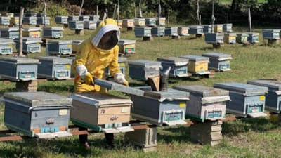 Bartınlı kadın arıcı, devlet desteğiyle başlattığı hobisini mesleğe dönüştürdü