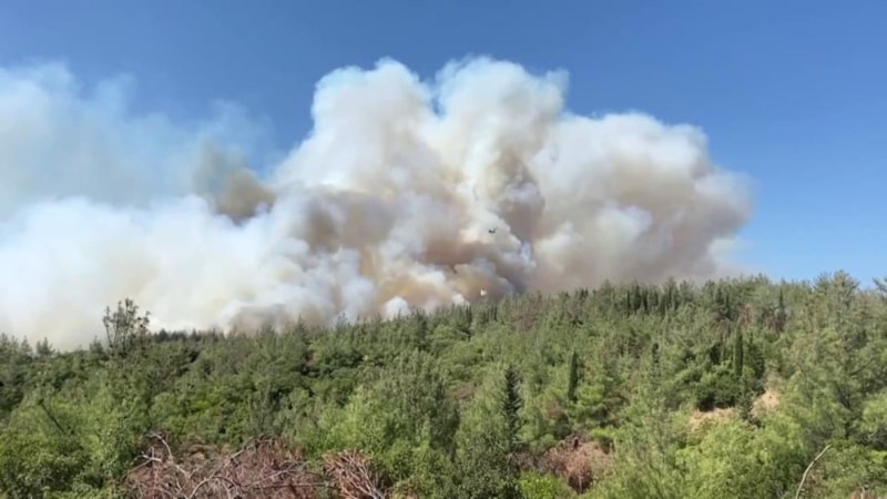 Türkiye’de 2025’te 6 bin 800 orman yangınıyla mücadele edildi