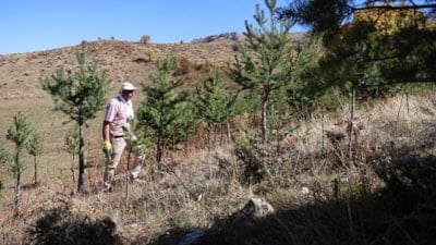 Bayburt'ta 25 yıllık öğretmen, cebindeki tohumlarla doğayı yeşertiyor