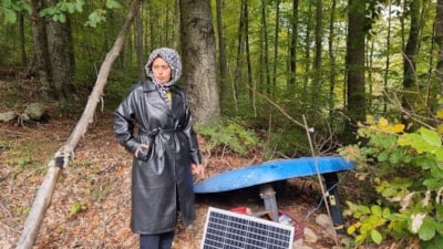 Kütahya’da genç girişimcinin ahududu tarlası ayılara kurban gitti