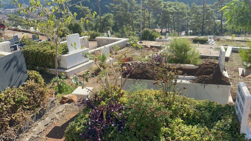 Marmaris'te yaban domuzlarının yeni adresi mezarlıklar