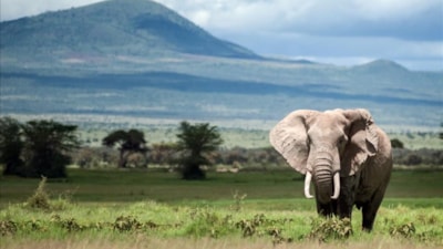 2050’ye kadar yok olma tehlikesi taşıyan UNESCO Dünya Mirası yerleri