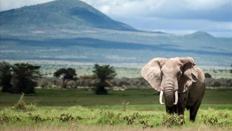 2050’ye kadar yok olma tehlikesi taşıyan UNESCO Dünya Mirası yerleri