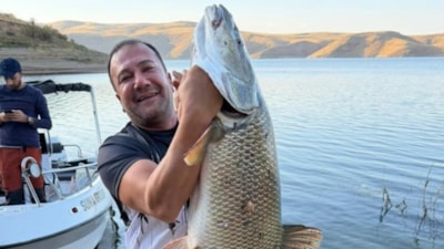 Keban Baraj Gölü'nde 70 kiloluk balık avladı