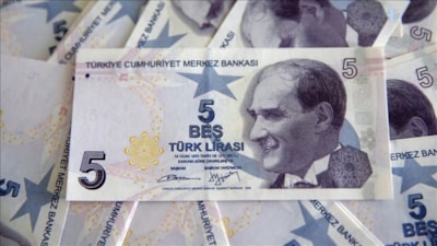 5 TL'nin arkasında kim var? Aydın Sayılı'yı tanıyın