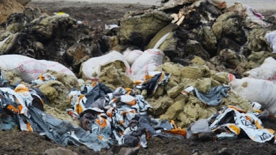 Aydın'da sulak alanlar tehlikede: Ekosistem çöküyor