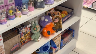 İstanbul'da popüler oyuncak 'Labubu' çılgınlığı hırsızlıkla bitti