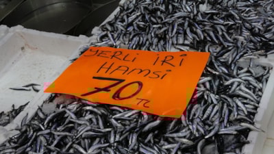 Ordu'da hamsinin kilosu 70 liraya düştü: Vatandaşlardan biri sevinçten çiğ çiğ yedi
