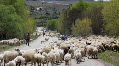Erzincan'da göçerler dönüş yolunda