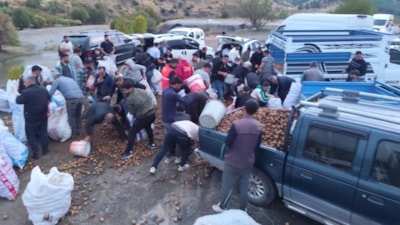 Siirt'te arızalanan kamyondaki patatesleri ücretsiz dağıttı