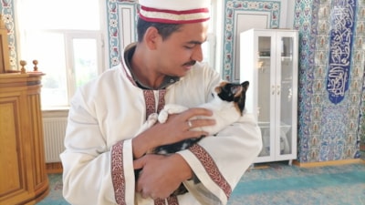 Erzurumlu imamdan kedilere şefkat eli