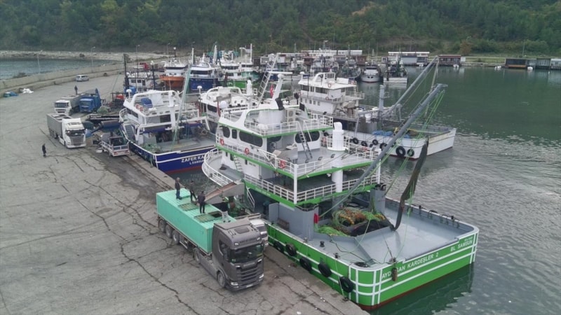 Sinop açıklarında bereketli hamsi avı