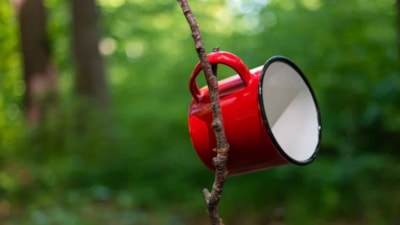 Kış gelmeden bahçeye bir bardak asın: Etkisini gören herkes şaşırıyor