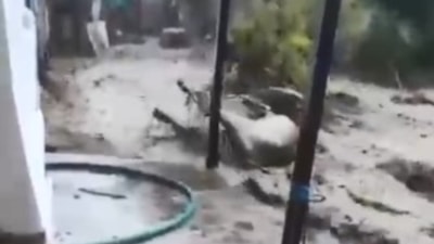 Aydın'da hayvanları sele kapılan köylü: Adam boyu sel geldi