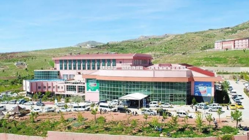 Şırnak'ta tartıştığı çobanı vurdu