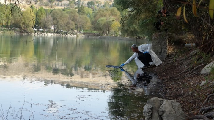 Malatya'da pikniğe giden öğrenciler gölette kadın cesedi buldu
