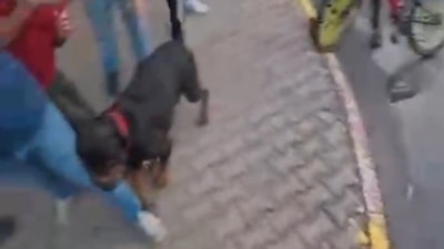 Mersin'de ağızlıksız dolaştırılan Rottweiler'ın 2 kişiye saldırdığı anlar kamerada