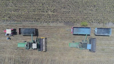 Çiftçilere yaklaşık 2,8 milyar lira destekleme ödemesi yapıldı