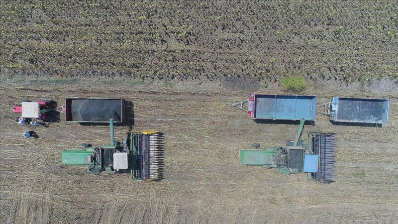 Çiftçilere yaklaşık 2,8 milyar lira destekleme ödemesi yapıldı