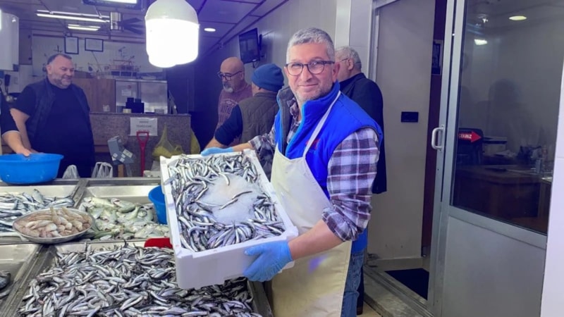 Sinop’ta hamsi fiyatları 100 liradan 50 liraya düştü