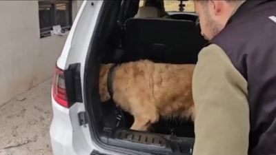 Hakkari'de gümrükte kontrol yapıldı: Lüks otomobilden 60 kilogram metamfetamin çıktı