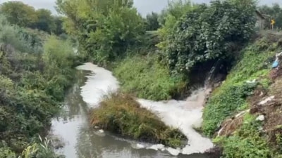 Bursa'da bulunan Gemlik Körfezi'nde alarm verildi: Kirlilik endişeye yol açtı