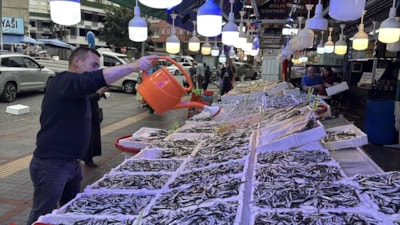 Karadeniz'de hamsi bolluğu: Rize'de 100 Sinop'ta 50 lira