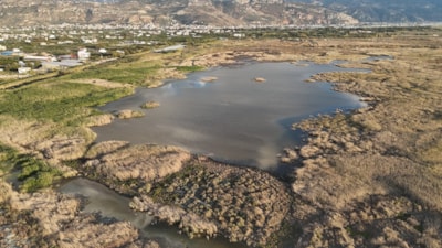 Hatay'da kuraklıktan çöle dönen Milleyha'da yağışlarla beraber kuş sesleri yeniden duyulmaya başladı
