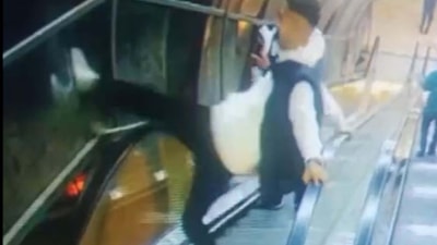 İzmir'de üst geçidin korkuluklarına tekme ve yumruklarla saldırdılar