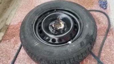 Çankırı'da stepneye sıkışan yavru kedi kurtarıldı