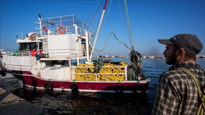 Maaş 80 bin lirayı buldu: Gençler teknelerde çalışmak istemiyor