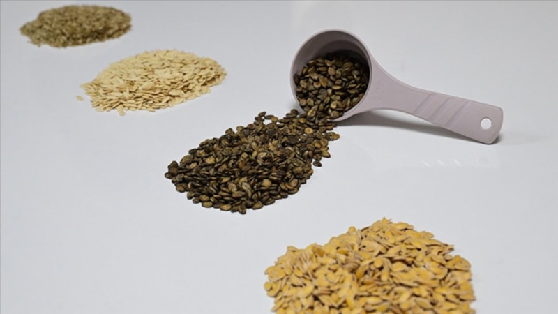 Güneydoğu'dan Afrika'ya hububat ihracatında artış