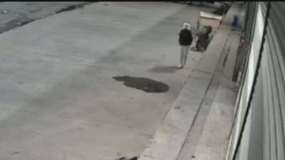 İstanbul'da güvercin hırsızlığı: Hırsız tanınmamak için kafasına poşet taktı