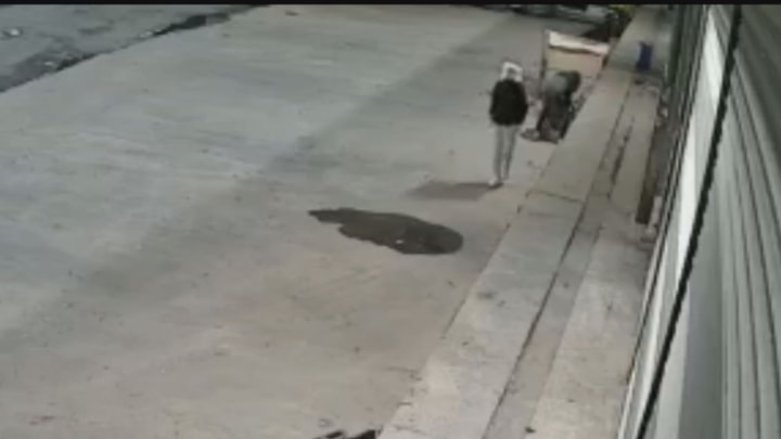 İstanbul'da güvercin hırsızlığı: Hırsız tanınmamak için kafasına poşet taktı