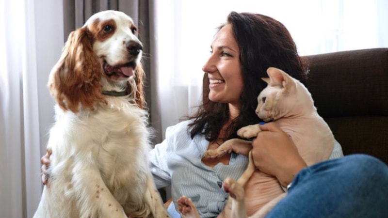 Evcil hayvan sahiplerinin mutlaka bilmesi gereken 10 önemli detay