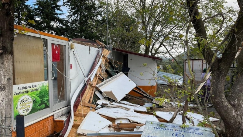 Balıkesir'de hortum: İşletme yıkıldı, ağaçlar söküldü