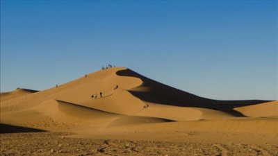 Fas’ta Çöl Bölgesinde yüksek yoğunlukta altın bulundu
