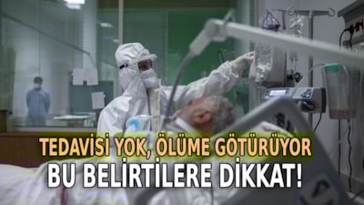 Türkiye’de görüldü, tedavisi yok… İşte deli dana hastalığının belirtileri