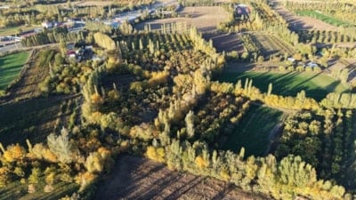 Yurt dışı değil, Türkiye: Burayı gören tablo sanıyor...