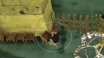 Ayasofya Camii'ni yakmaya çalışmıştı: Pişman değilim