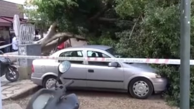 Antalya'da devrilen ağacın altında kalmaktan son anda kurtuldu