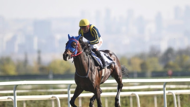 87. Cumhurbaşkanlığı Koşusu'nda Grande Flusso zaferi