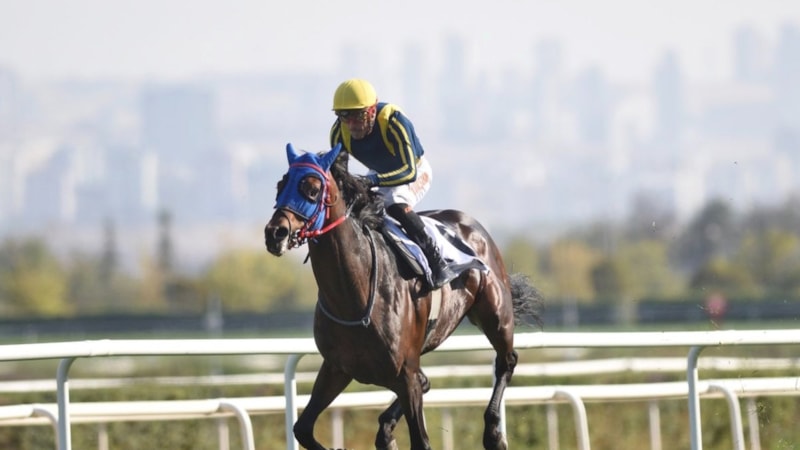 87. Cumhurbaşkanlığı Koşusu'nda Grande Flusso zaferi